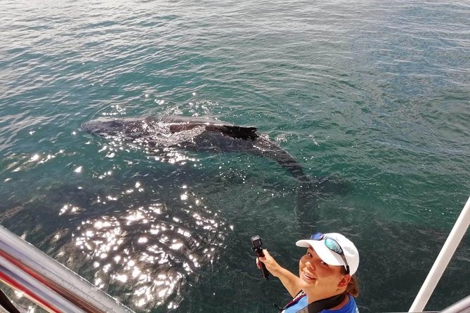 Small-Group Half-Day Whale-Watching Tour in Puerto Vallarta - Memorable Whale Encounters