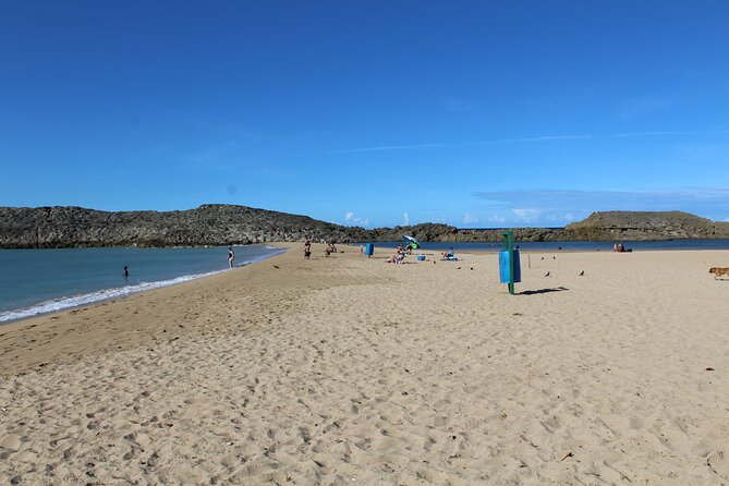 Small-Group North Coast Beach Hopping Adventure in Puerto Rico - Reviews and Feedback