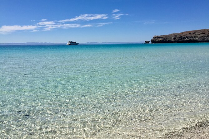 Small Group Snorkeling and Swim With Whale Sharks & Sea Lions in La Paz - Exceptional Guest Reviews