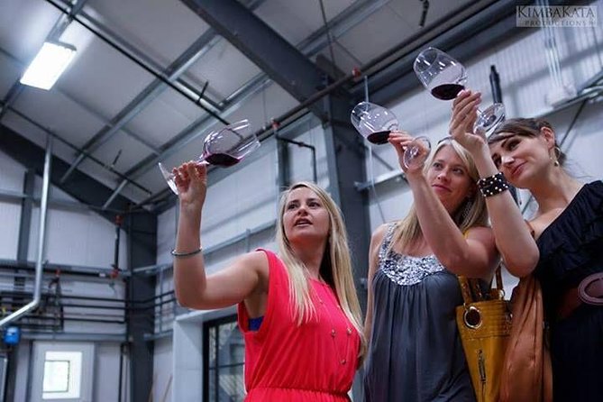 Small-Group Wine Tasting Tour of Santa Barbara Wine Country - Accessibility and Dress Code