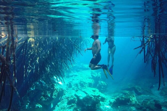 Snorkel Adventure Tour From Tulum - Small Group - All Inclusive - Frequently Asked Questions