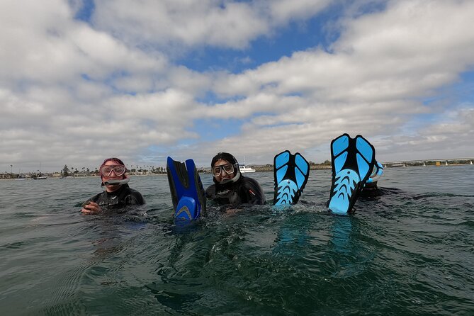 Snorkel San Diegos Mission Bay With a Marine Biologist - Customer Experiences and Reviews