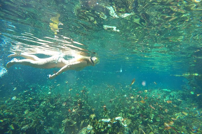 Snorkeling Adventure Tour Reef & Cenote - Inclusions and Requirements