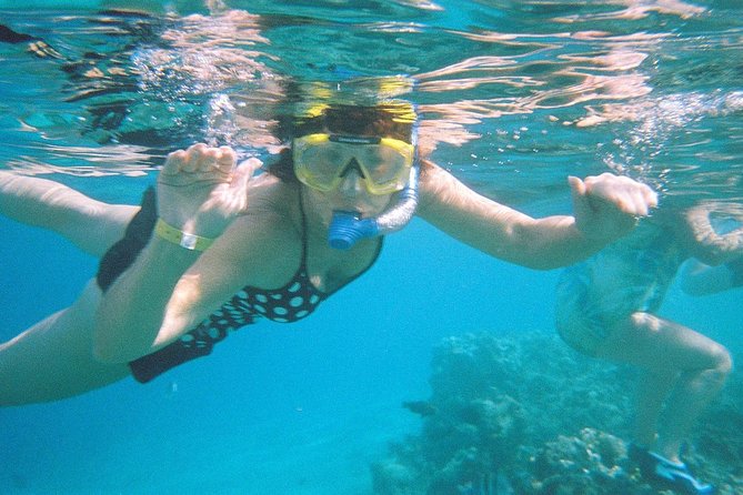 Snorkeling by Boat to Ras Mohamed and White Island Excursion in Sharm - Customer Reviews