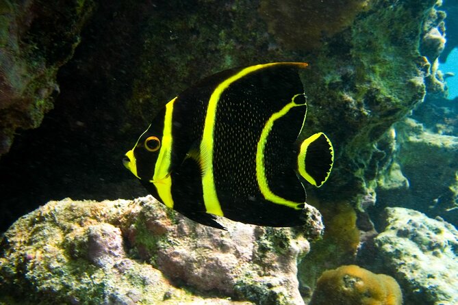 Snorkeling With Turtles and Cenote Tour From Riviera Maya - Tour Location