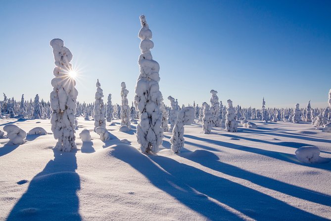 Snowmobile Driving - Morning Start - Booking and Scheduling