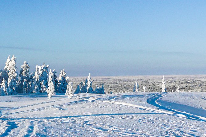 Snowmobile Safari in the Forest - Refreshments and Snacks
