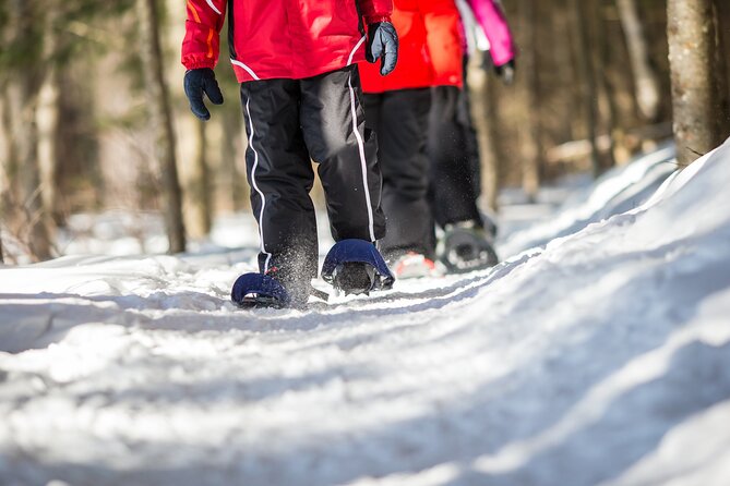 Snowshoe Rental at Tremblant - Customer Feedback and Responses