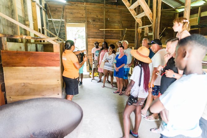 Soufriere Excursion With Rum & Chocolate Tasting - Customer Reviews