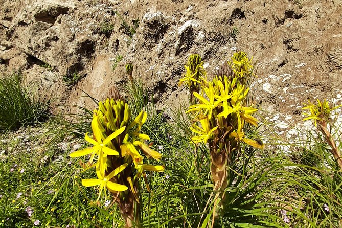 Sougia-Armos-Maza Hike Adventure - Getting to the End Point