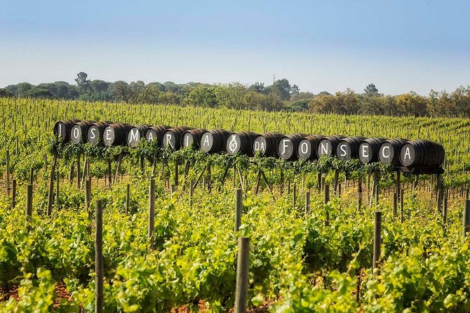 South Portugal Wine Route Private Full Day Tour From Lisbon - Tour Highlights and Destinations