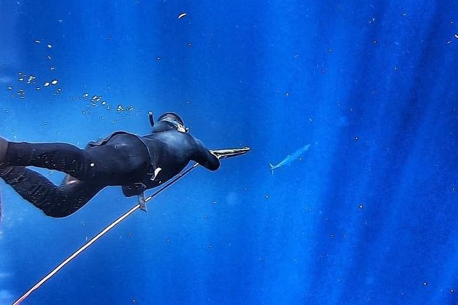 Spearfishing in Tulum or Playa Del Carmen - Preparing for the Adventure