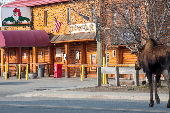 Spenard Neighborhood FOOD & TRUE CRIME Walking Tour - Dietary Restrictions Considerations