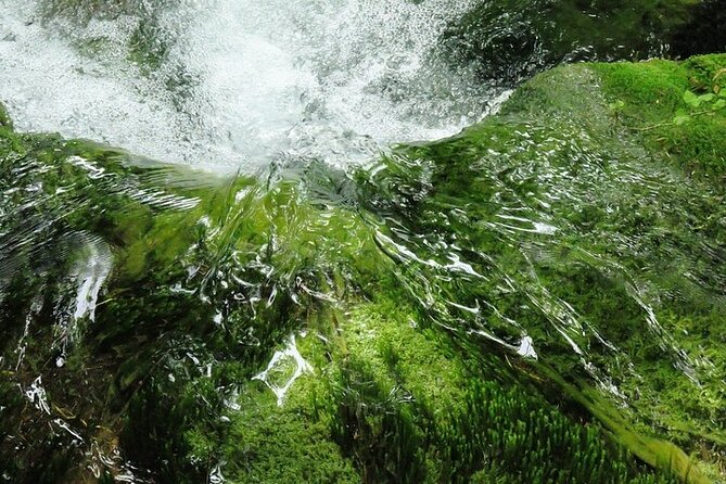 Split to Zagreb or Airport Zagreb via Plitvice Lakes for Singles or Couples - Customer Feedback and Recommendations
