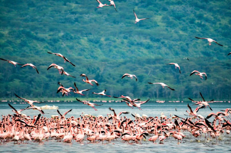 Sri Lanka: 4-day Tour Wildlife and Beach - Cultural and Historical Sites