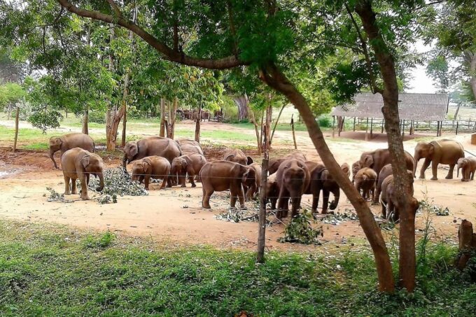 Sri Lanka Package Tour - Important Considerations