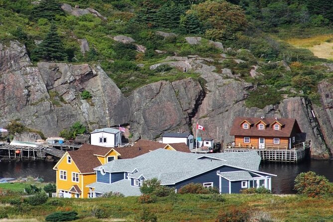 St. John'S Small Group Tour With Iceberg Quest Boat Cruise - Customer Reviews and Feedback