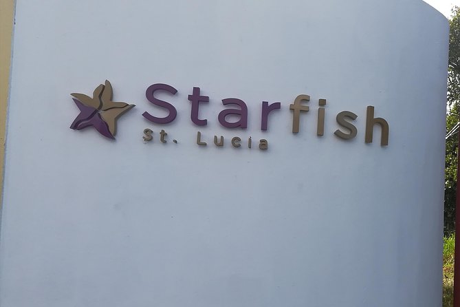 St Lucia Airport Transfer to Starfish St Lucia - Local Driver and Experience