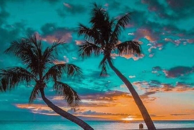 Standard and Premium Transfer From Punta Cana Airport to Las Terrenas - Destination Information