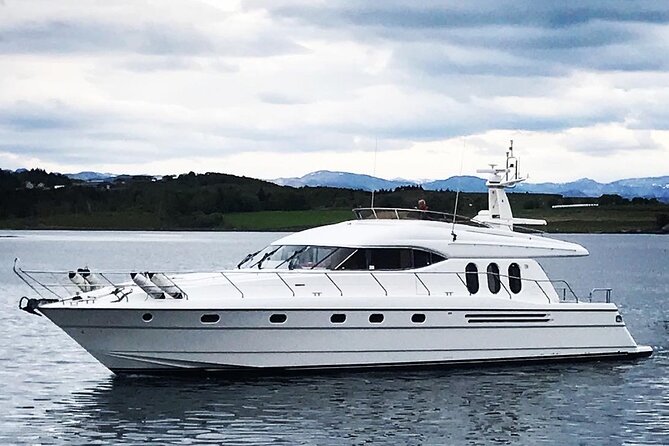 Stavanger City Island, Guided Cruise Tour - Activity Expectations and Accessibility