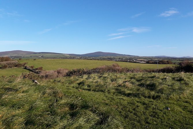 Steam Trains and Castles With Qualified Isle of Man Tour Guide - Interaction With Native Wildlife