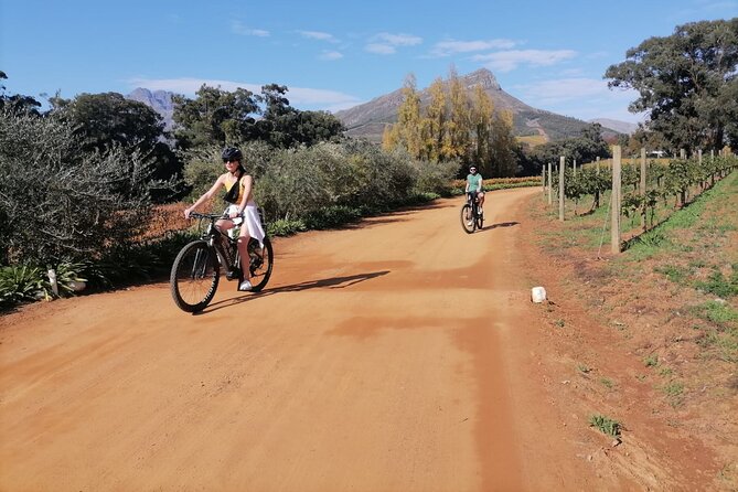 Stellenbosch Private E-Bike & Wine Tour - Exploring Stellenboschs Vineyards