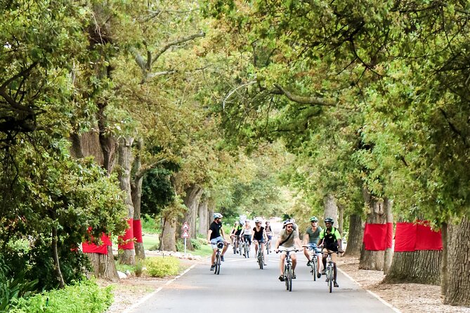 Stellenbosch Winelands Luxury EBike Tour © - Included in the Tour