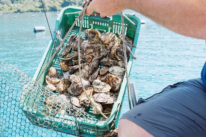 Ston Food Tour With Boat Ride From Dubrovnik - Viator Help and Booking Assistance