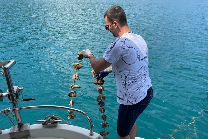 Ston Seafood & PelješA Wine Boat Tour With Oysters and Mussels - Sample Menu and Local Ingredients