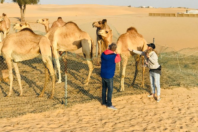 Sunrise Desert Safari With Quad Bike and Sandboarding, - What to Expect on the Tour