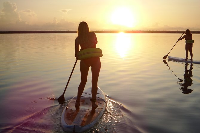 Sunrise Tour (Stand Up Paddle or Kayak) - Tips for a Successful Tour