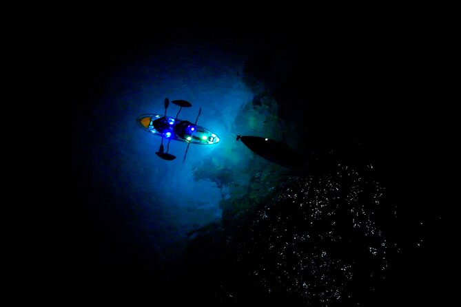 Sunset and Glow Clear Kayak Tour in Olowalu - Customer Reviews and Feedback