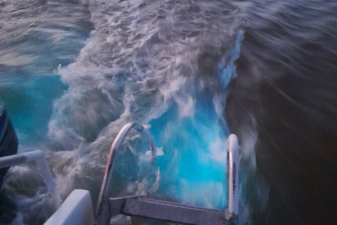 Sunset Boat Ride in the Falmouth Luminous Lagoon Swim and Dinner - Accessibility and Infant Seats