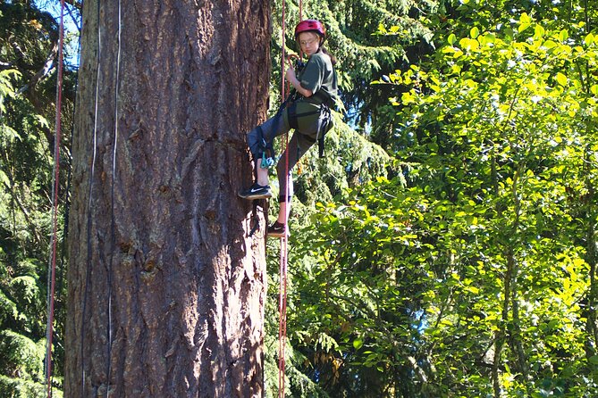 Sunset Canopy Climb on Lopez Island - Safety and Accessibility Information