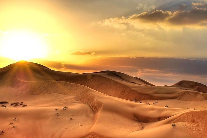 Sunset Desert Safari | Buffet Dinner and More - Reviews and Ratings