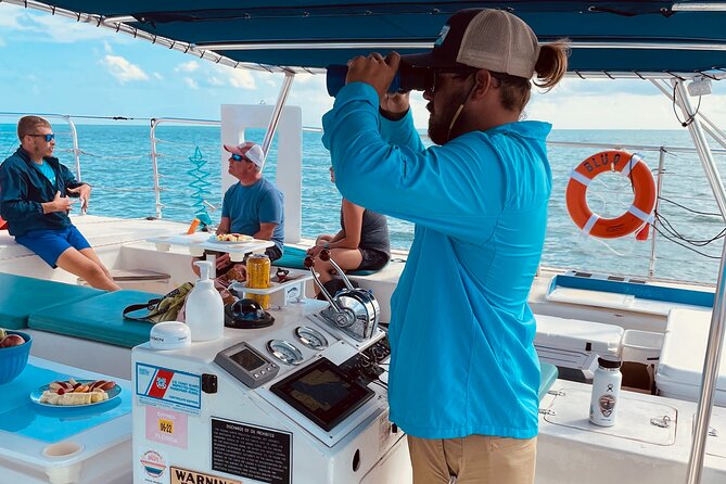 Sunset Sail & Dolphin Search With Honest Eco - Highlights and Reviews