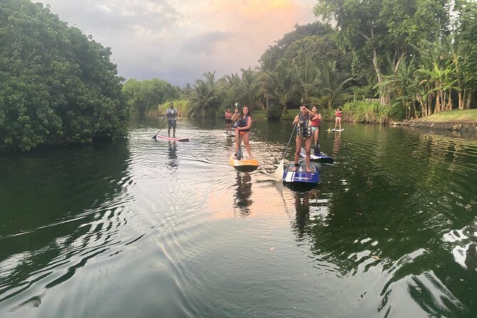 Sunset Stand up Paddle With Photos and Turtles - Booking and Confirmation Process
