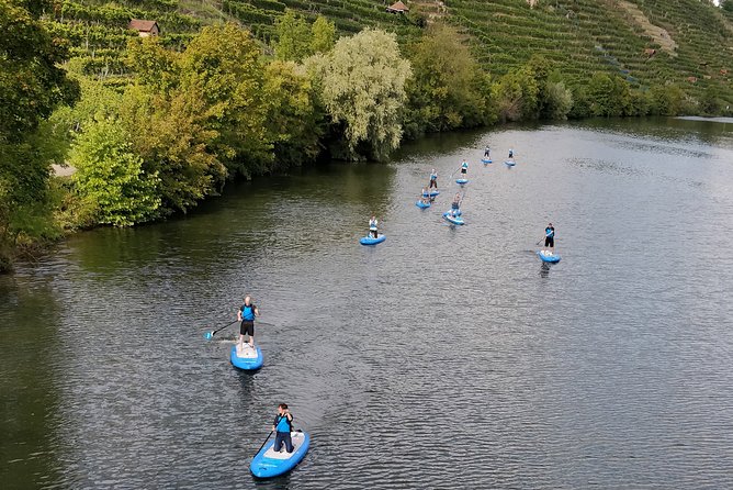 SUP BASIC COURSE Stuttgart Neckar Stand Up Paddling / Paddling Adventure Jones Tours - Activity Duration and Pacing