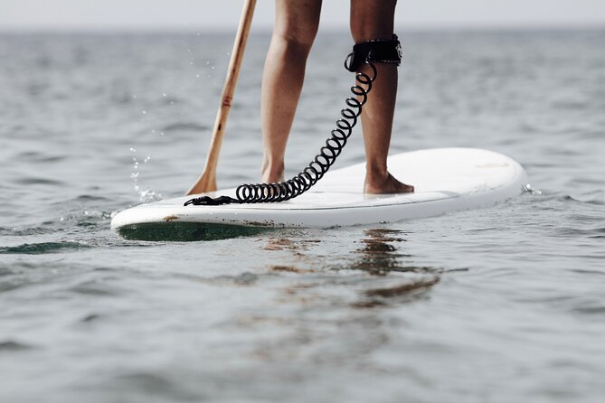 Sup Experiences in the Ocean - Booking and Reviews
