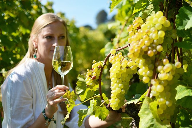 Swiss Wine Tasting at Lavaux Vineyards: Private Trip From Geneva - Accessibility and Participation