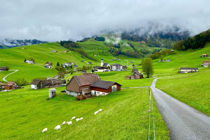 Switzerland Picturebook Private Tour: Farm, Villages, & Mountains - Traveler Testimonials
