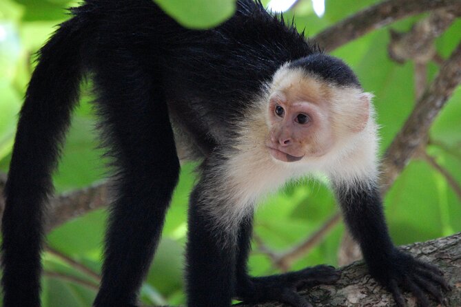 Tambopata Amazon Reserved Zone Exclusive Experience (6 Days) - Preparing for the Experience