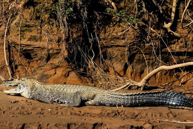 Tambopata Reserve Excursion 3D - 2N From Cusco - Booking and Confirmation