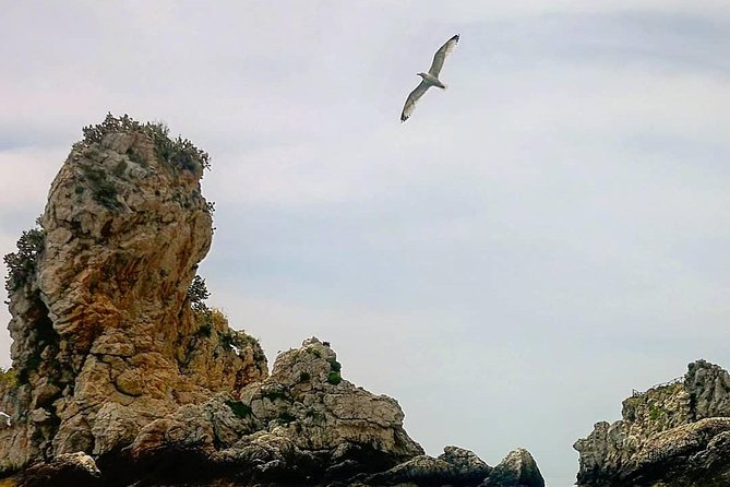 Taormina - Classic Boat Tour - Tour Schedule and Accessibility