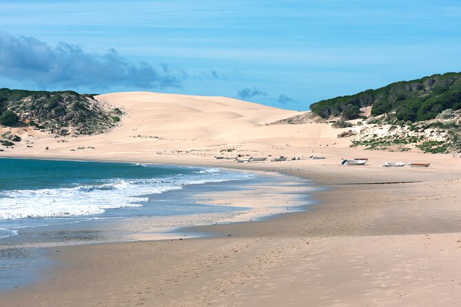 Tarifa and Bolonia , Full-Day Food and History Tour From Marbella - Exploring Baelo Claudia