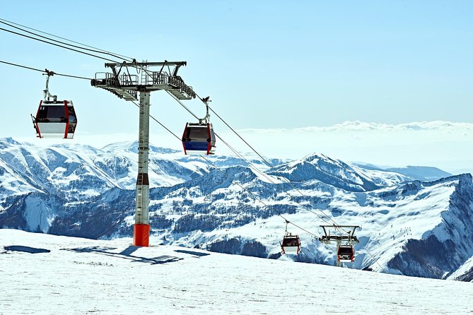Tbilisi - Bakuriani - Borjomi Private Transfer - Pricing and Payment Options
