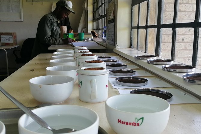 Tea Farm Experience at Riara Tea Farm And Factory Tour - Experience Highlights
