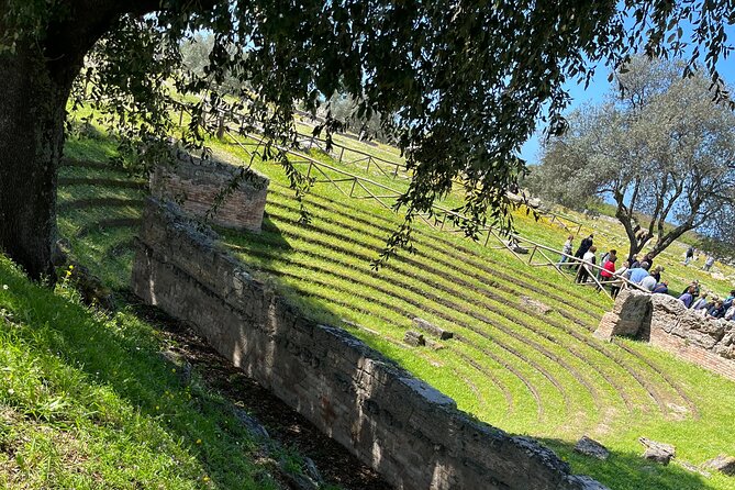 Temples of Paestum and Pompeii Tour Review - Traveler Feedback and Experiences