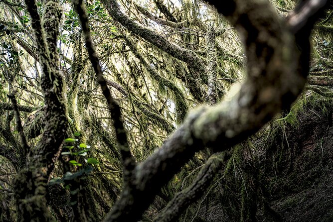 Tenerife: Landscape Photography Workshops, 10 Hours - Cancellation and Pricing