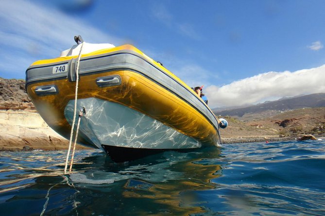 Tenerife Turtle and Snorkel Tour From Costa Adeje - Choosing the Right Tour
